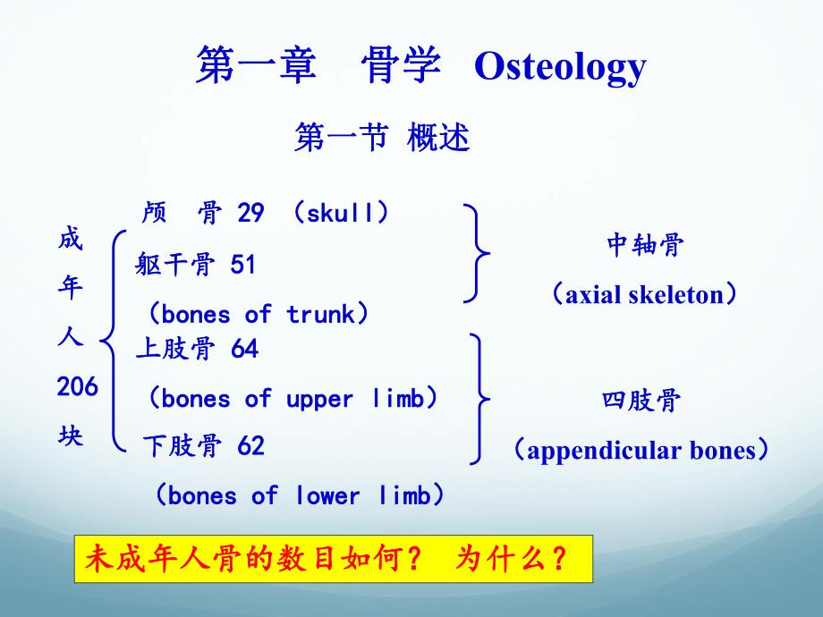 02骨学和关节学概述.ppt_第3页