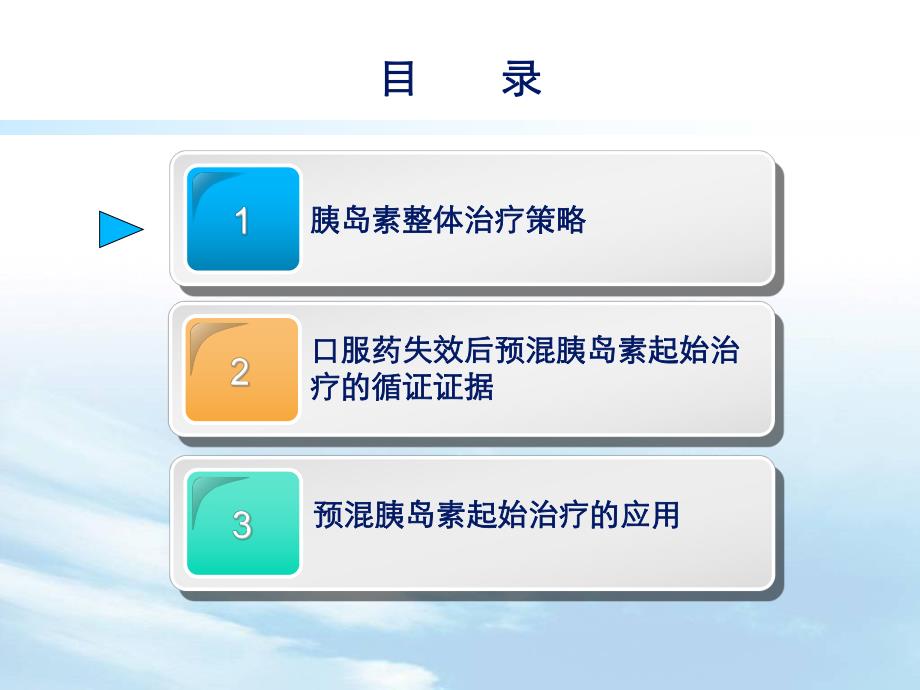 胰岛素整体治疗方案的探讨.ppt_第2页