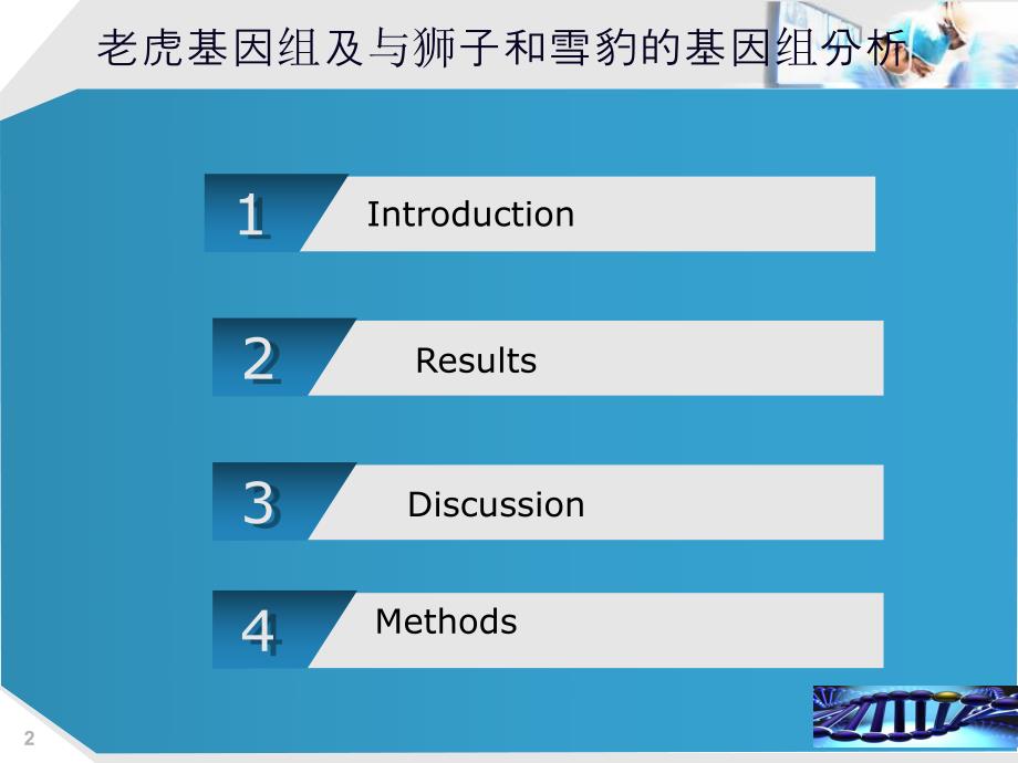 老虎基因分析.ppt_第2页