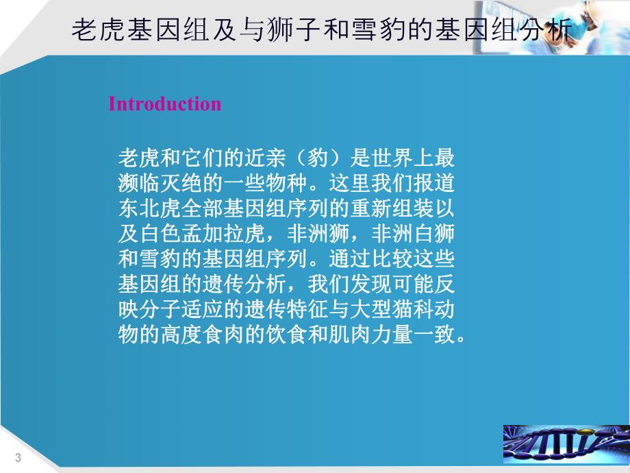 老虎基因分析.ppt_第3页