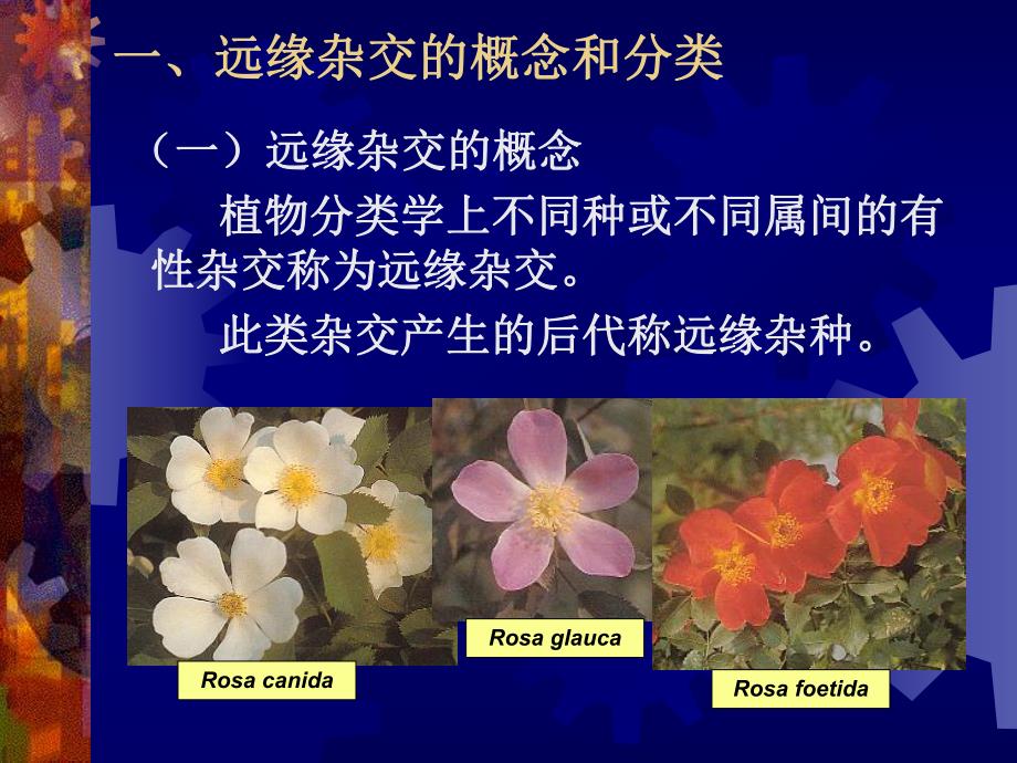 [园林植物育种学课件]第5章 远缘杂交育种.ppt_第2页