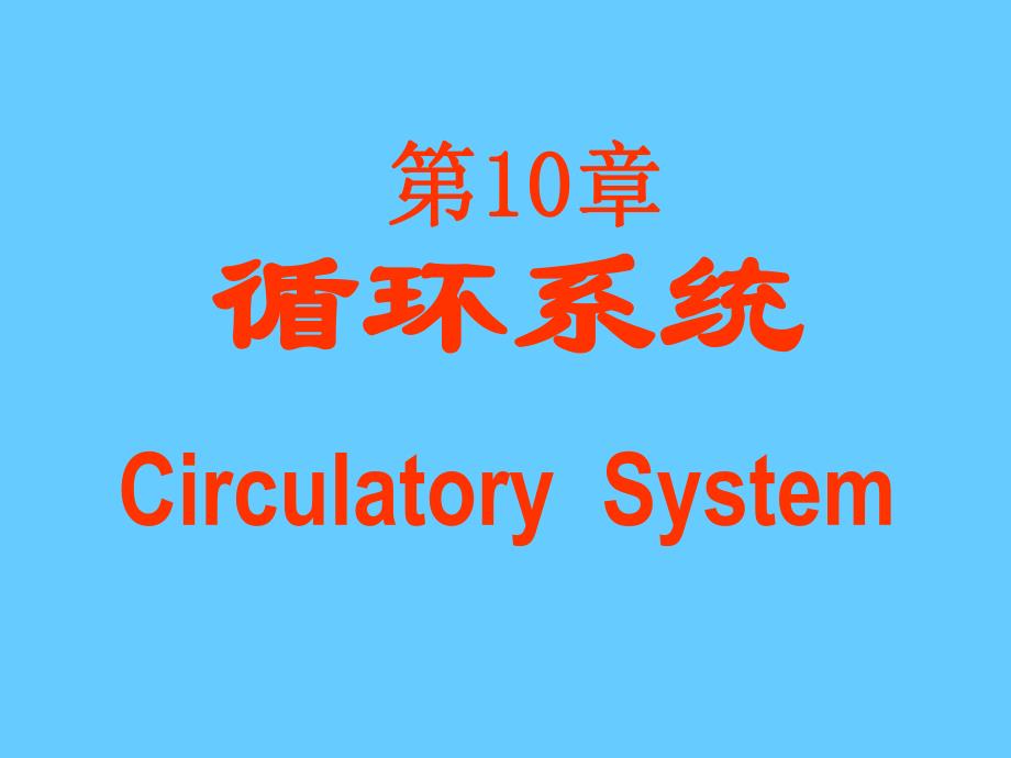 10循环系统.ppt_第1页