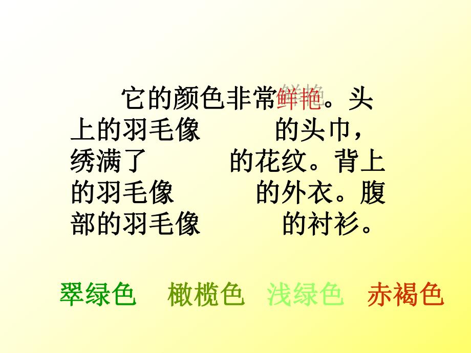 5翠鸟鄂伦旗实验小学郭洪文.ppt_第3页