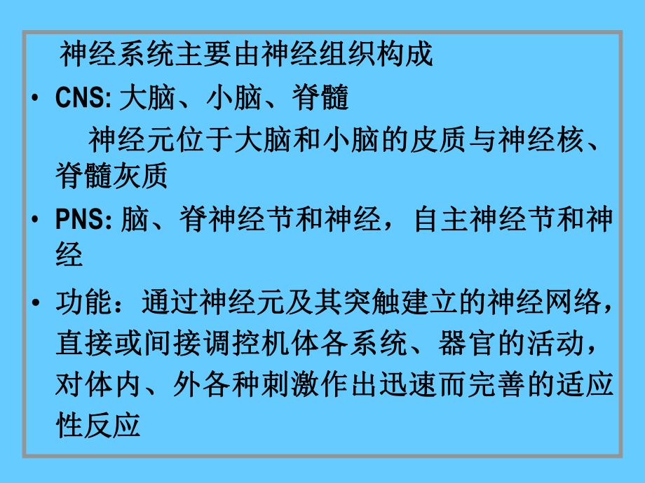 脑神经系统神经系统.ppt_第2页