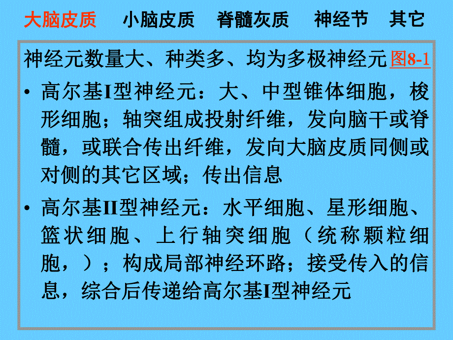 脑神经系统神经系统.ppt_第3页