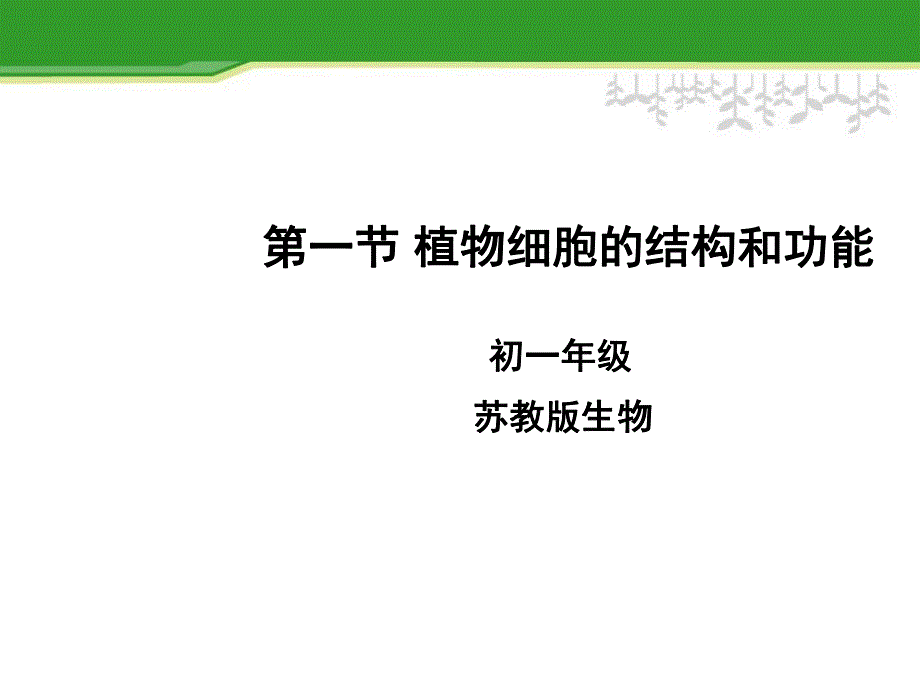 3.1植物细胞的结构和功能.ppt_第1页