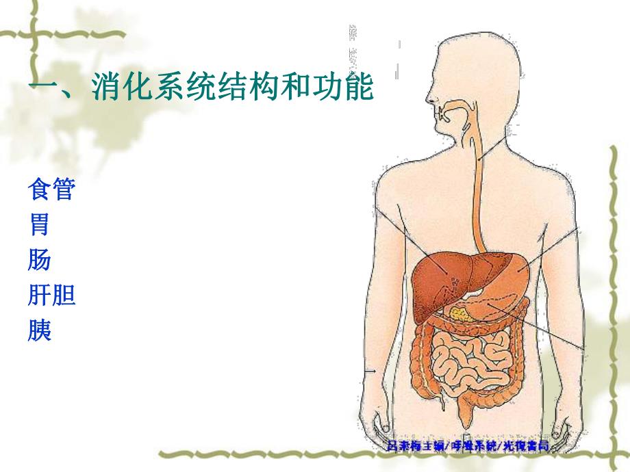 第一节消化系统疾病概述.ppt_第3页