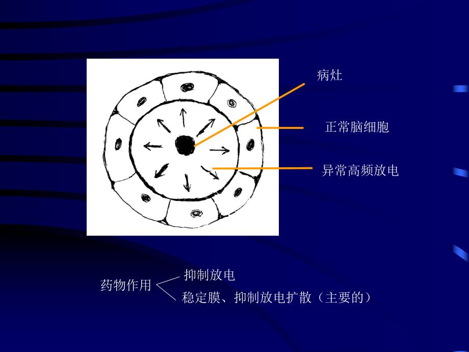 抗癫痫药和抗惊厥药ppt课件.ppt_第3页