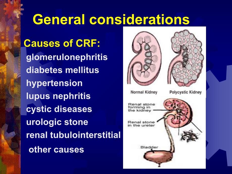 肾内科课件crf.ppt_第3页