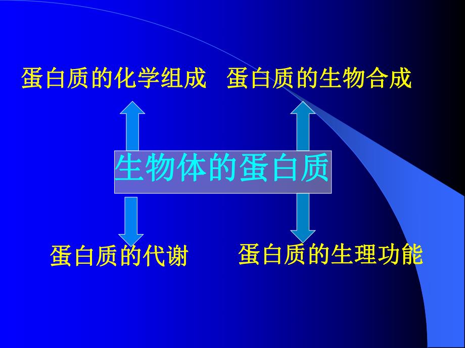 蛋白质专题2.ppt_第2页