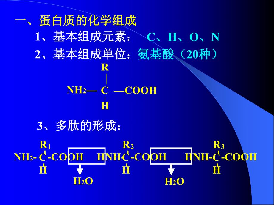 蛋白质专题2.ppt_第3页