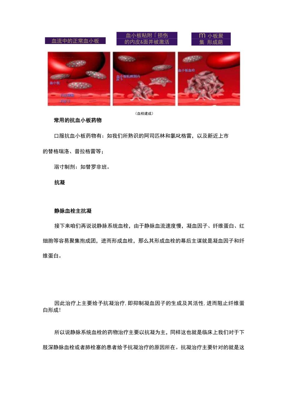 3分钟读懂抗凝与抗栓.docx_第3页