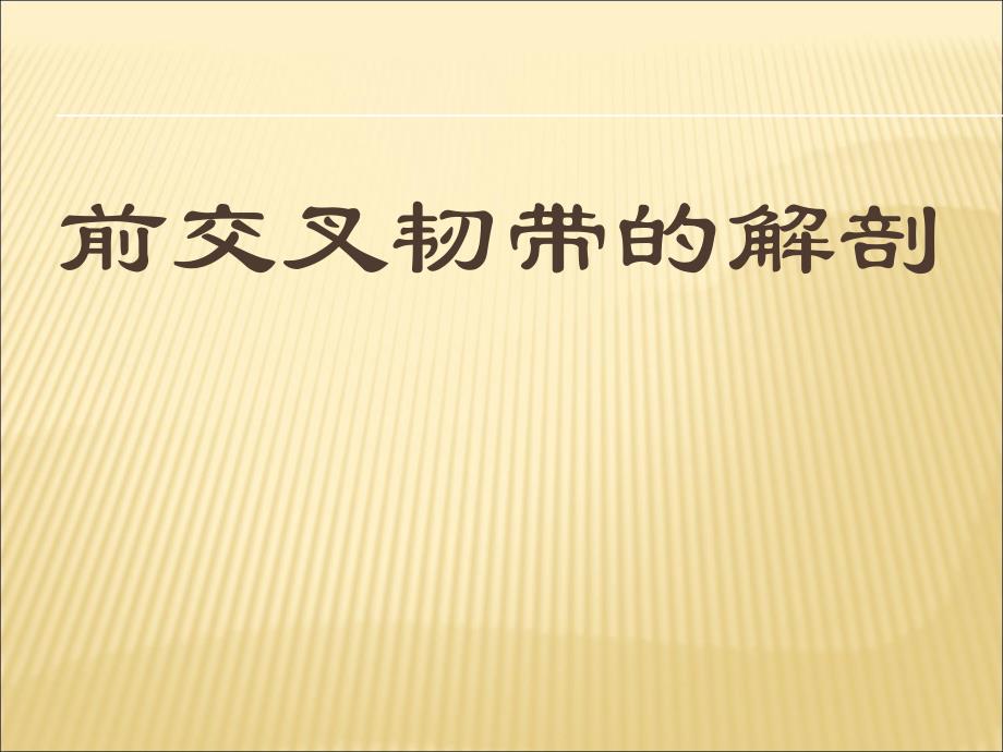 膝关节前交叉韧带的解剖.ppt_第1页