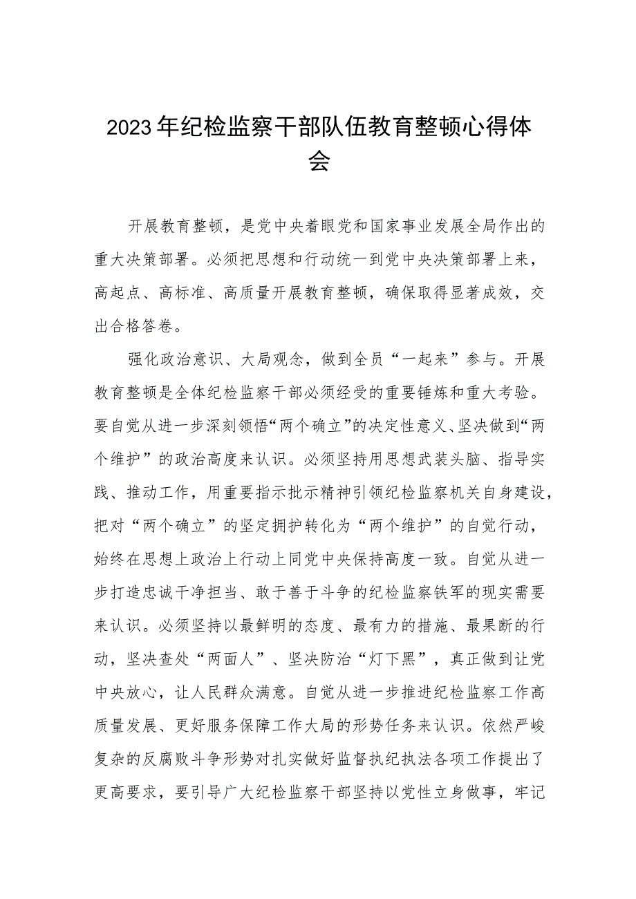 2023纪检干部队伍教育整顿研讨材料(五篇).docx_第1页