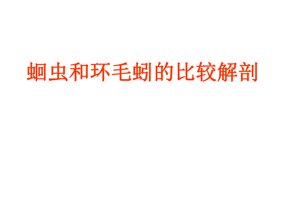 蛔虫和环毛蚯的比较解剖.ppt_第1页