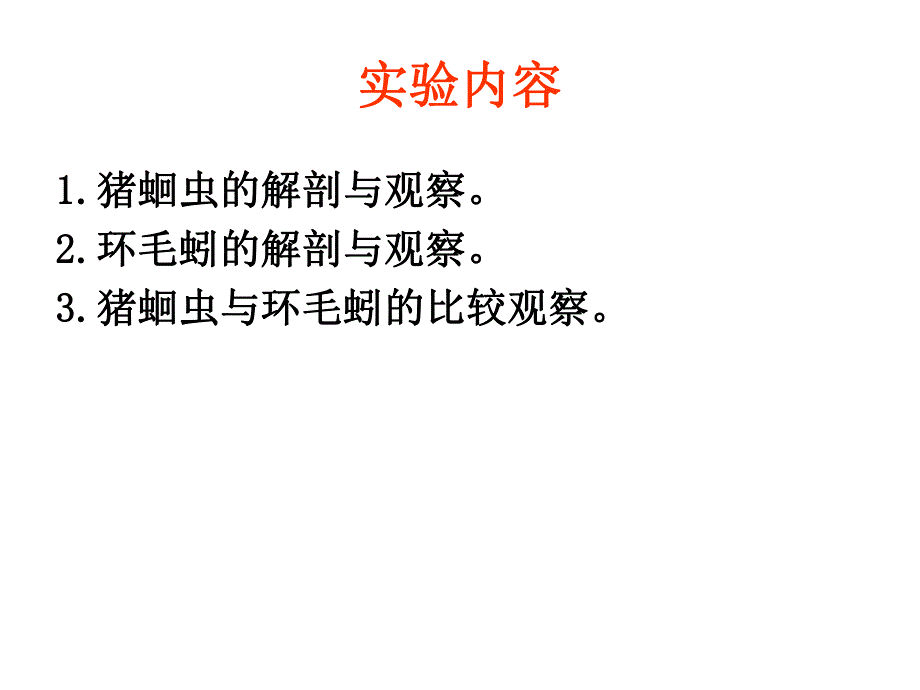 蛔虫和环毛蚯的比较解剖.ppt_第3页