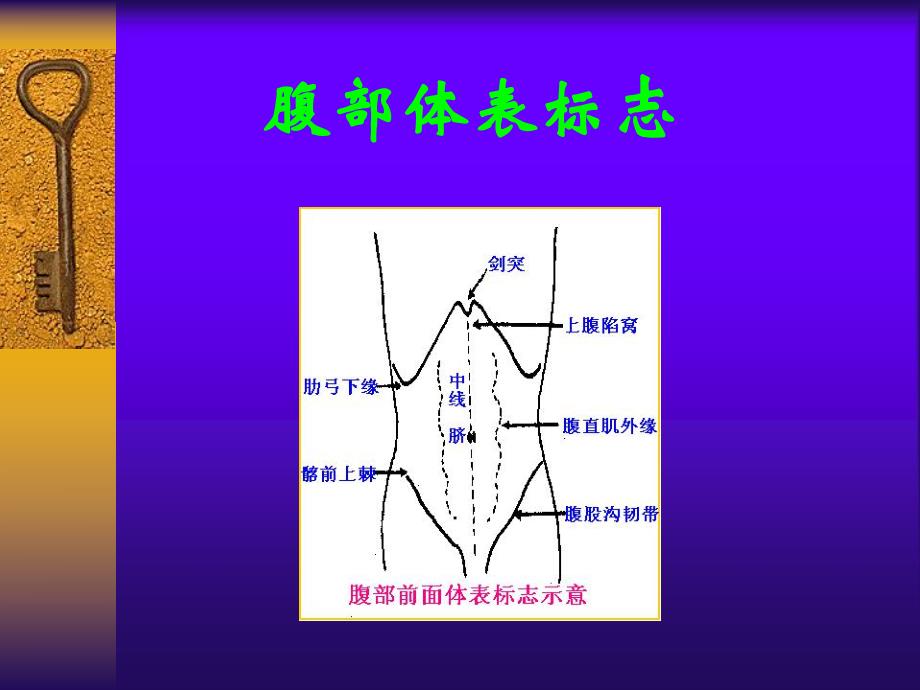 诊断学之腹部检查篇.ppt_第2页