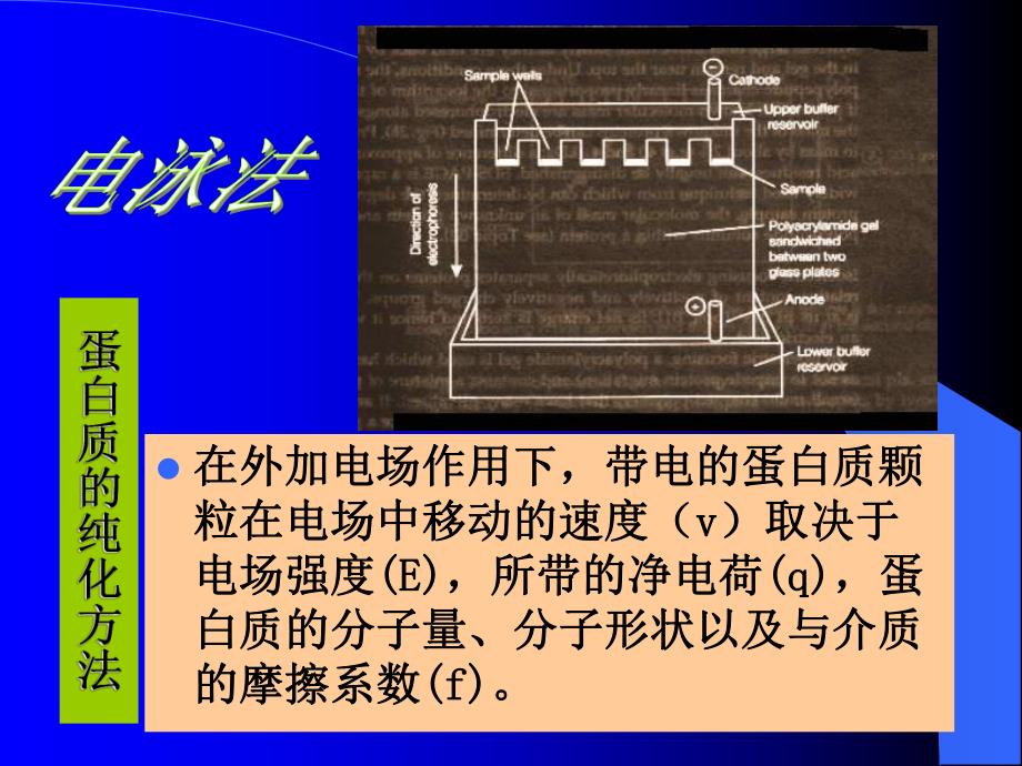 蛋白质纯化方法.ppt_第1页