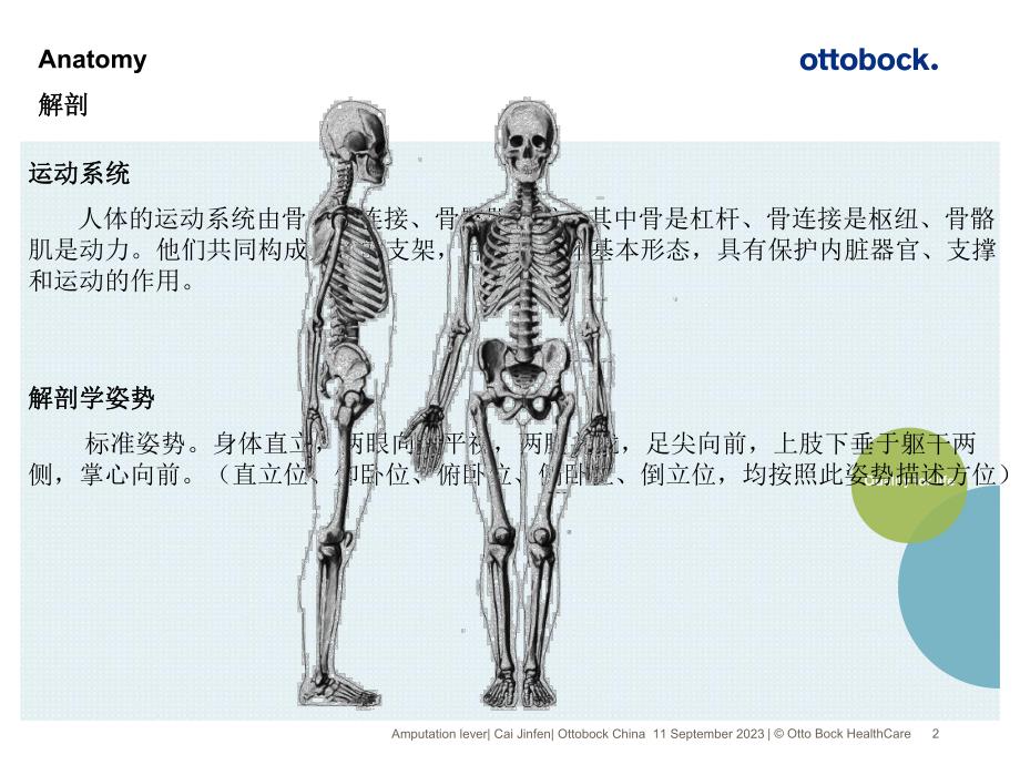 解剖学基本知识.ppt_第2页