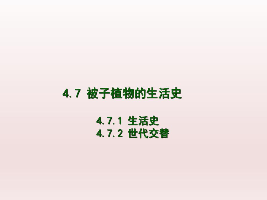 被子植物的生活史.ppt_第1页