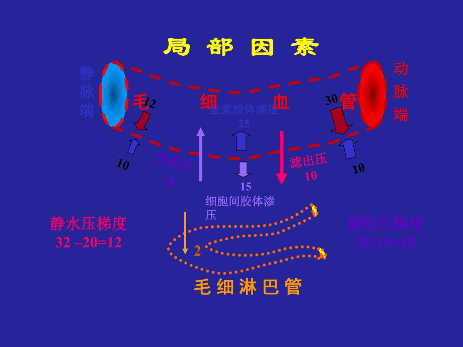 腹水回输治疗.ppt_第3页