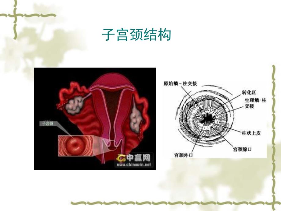 荧光检查棒0607.ppt_第3页