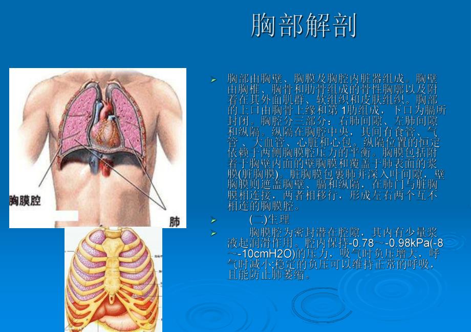 血胸护理ppt课件.ppt_第3页