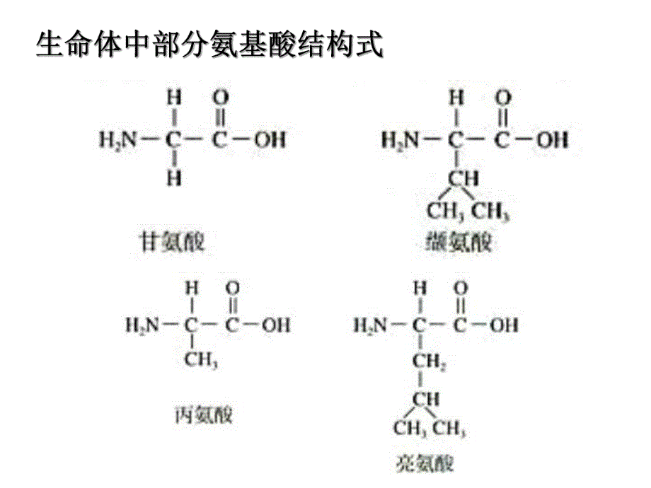 蛋白质的结构组成氨基酸的结构特点数量结构中心C2.ppt_第3页