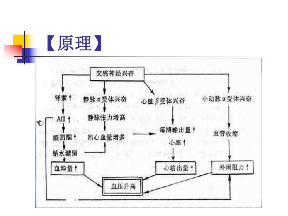 药物对血压的影响苗改.ppt_第3页