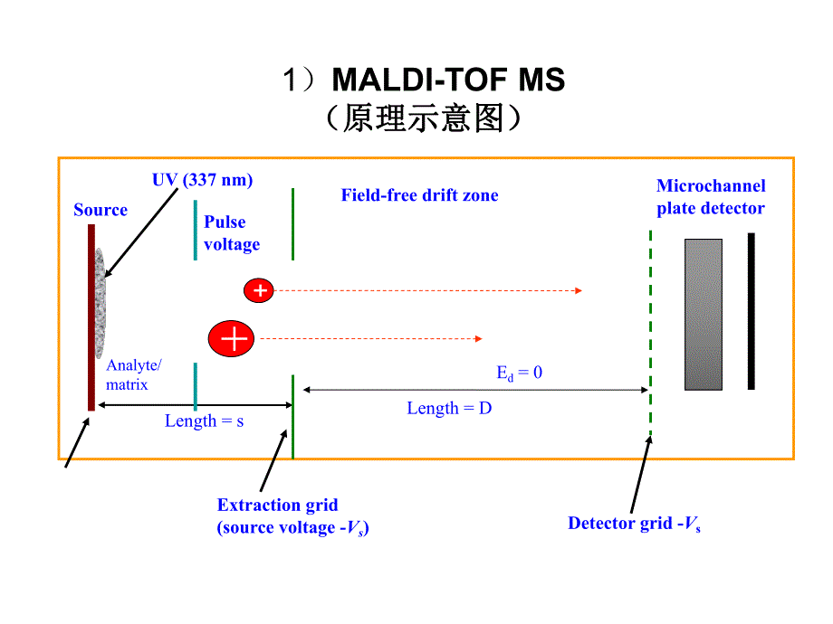 质谱分析技术.ppt_第3页