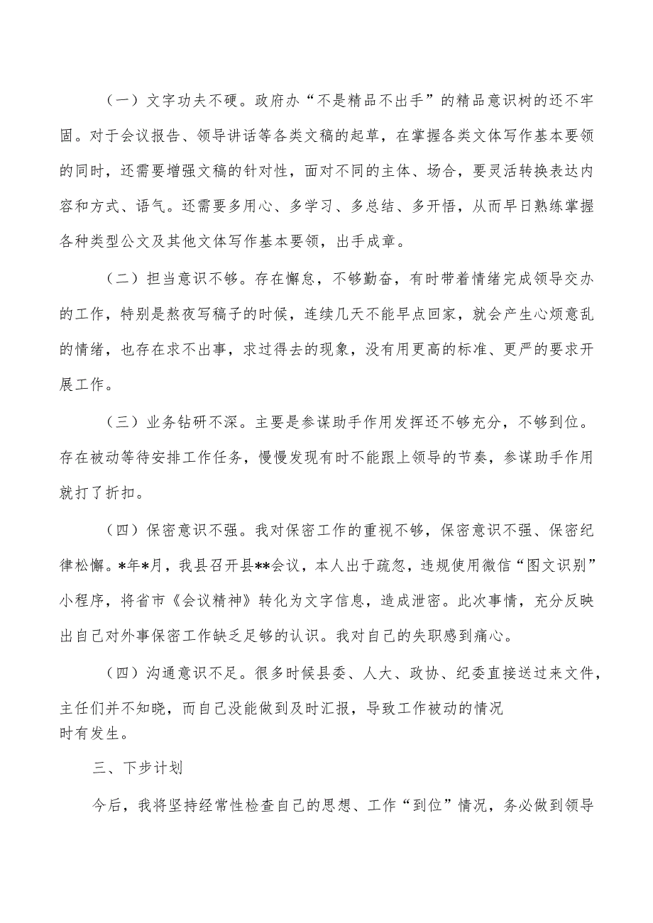 政府办个人检查发言.docx_第2页