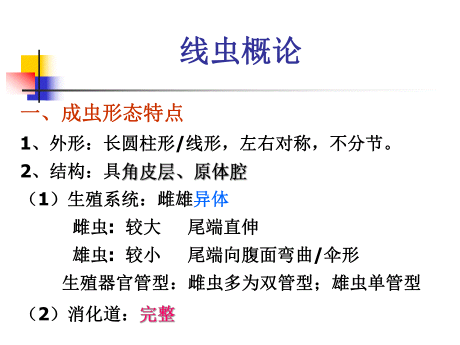 蛔虫中文.ppt_第1页