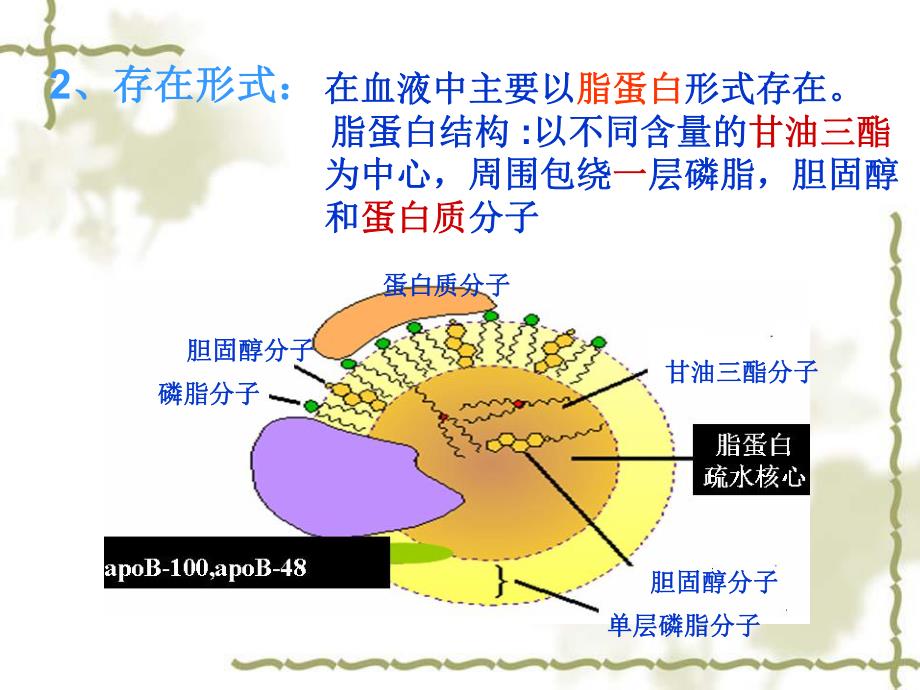 血脂代谢及其调节.ppt_第3页