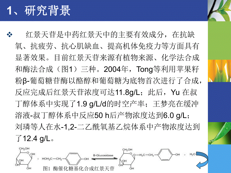 葡萄糖苷酶催化合成红景天苷.ppt_第3页