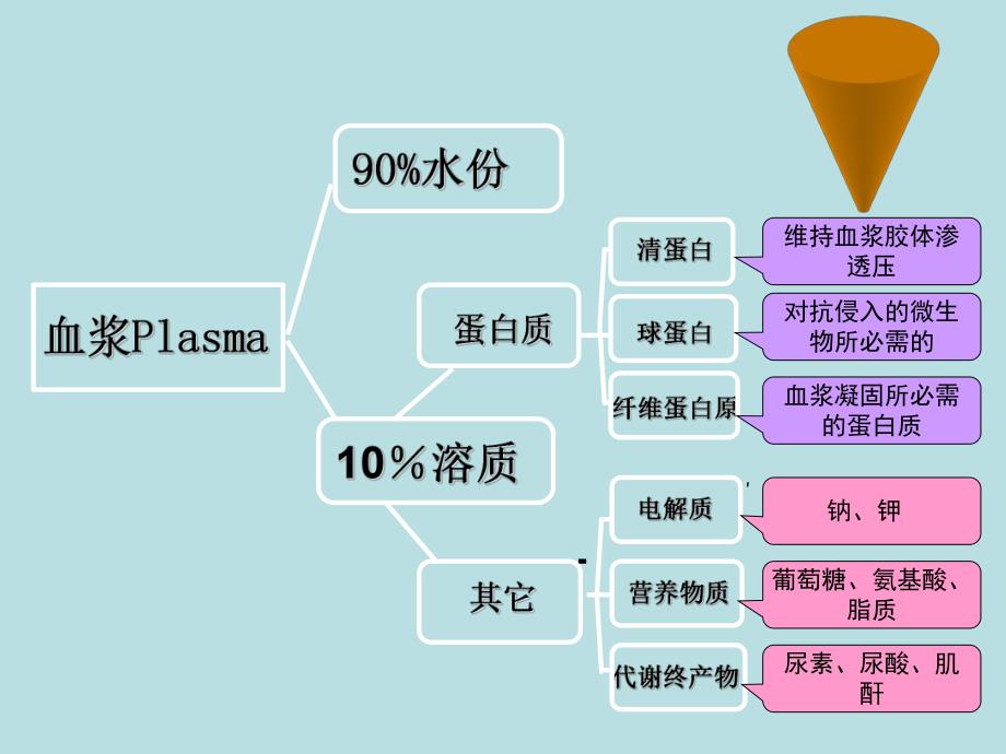 贫血概述ppt课件.ppt_第3页