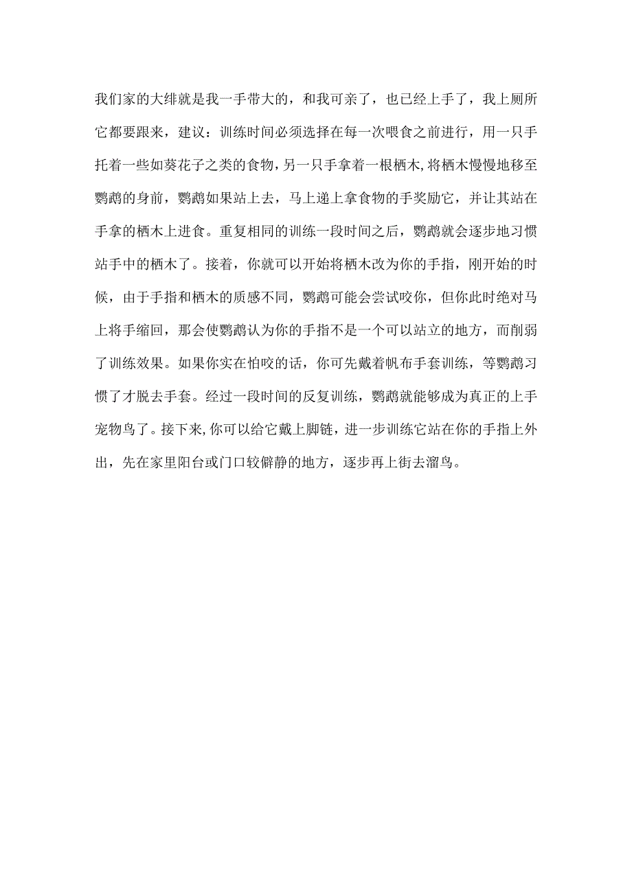 大绯胸鹦鹉和非洲灰鹦鹉哪说话.docx_第2页