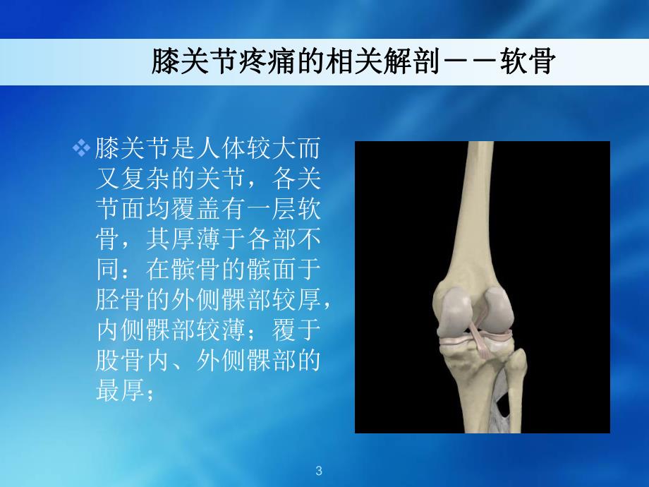 膝关节疼痛的诊疗.ppt_第3页