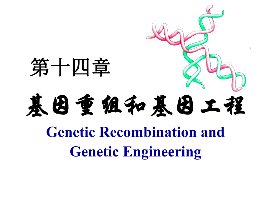 自然界的基因转移和重组.ppt_第1页