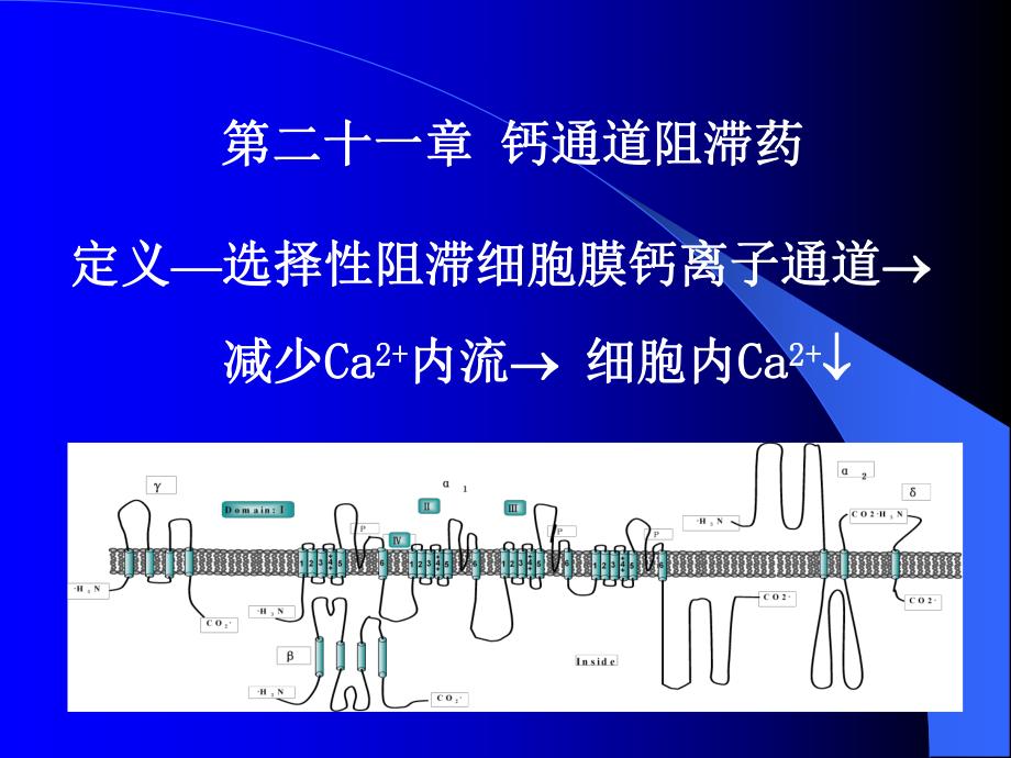 药理学第21章钙通道阻滞药.ppt_第1页