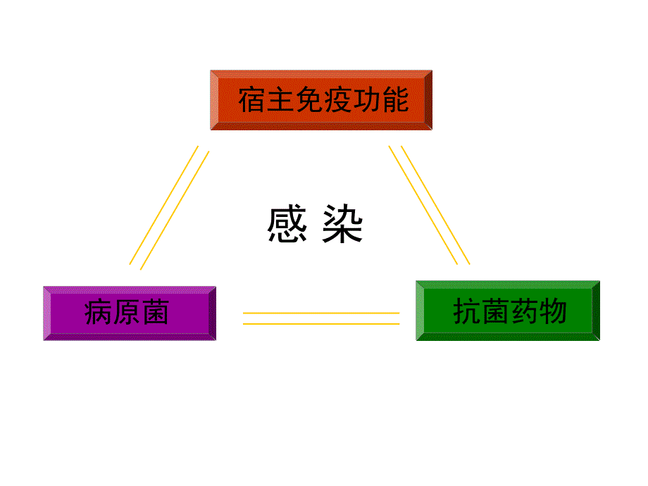 造血干细胞移植后的感染黄晓军.ppt_第2页