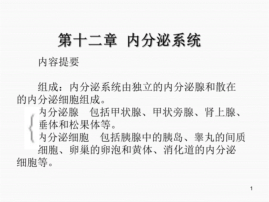 解剖学课件内分泌系统.ppt_第1页