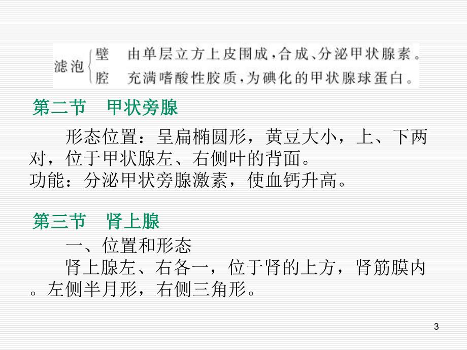 解剖学课件内分泌系统.ppt_第3页