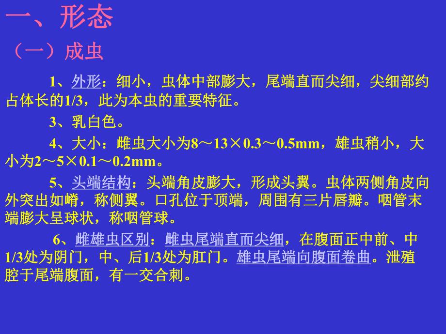 蛲虫CAI教学.ppt_第3页