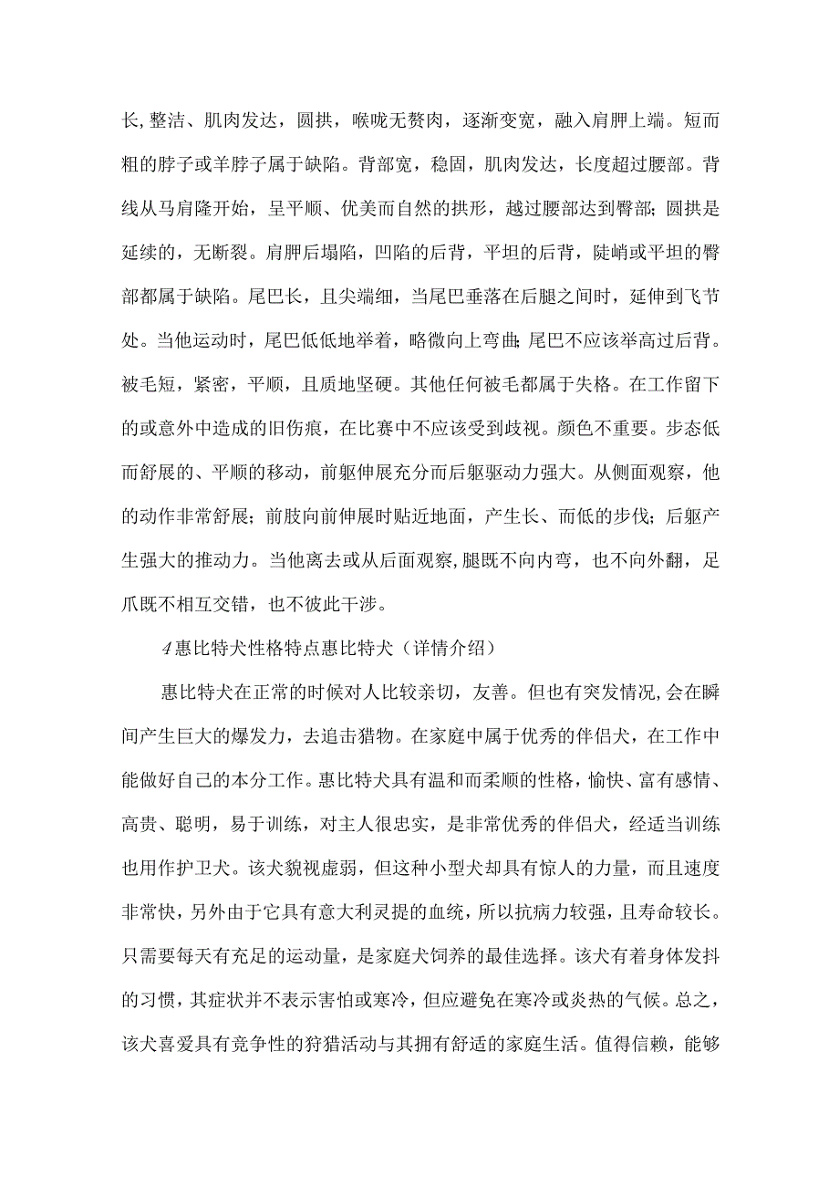 纯种惠比特价格.docx_第2页