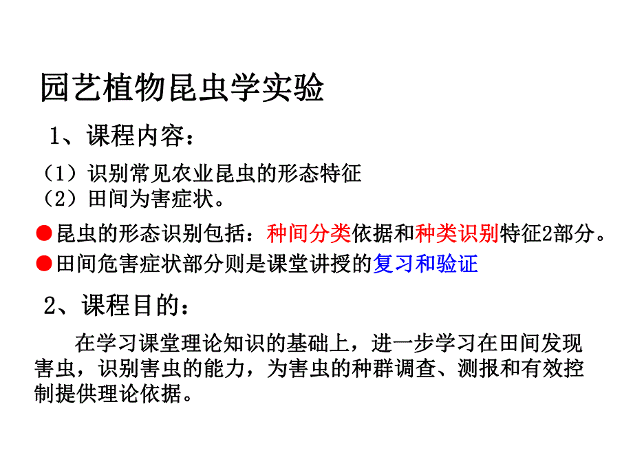 蔬菜实验园艺.ppt_第1页