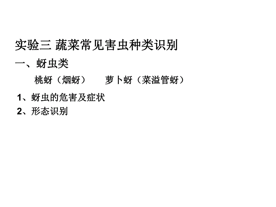 蔬菜实验园艺.ppt_第2页