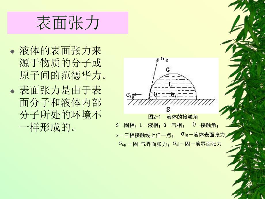 表面活性剂与洗涤剂.ppt_第3页