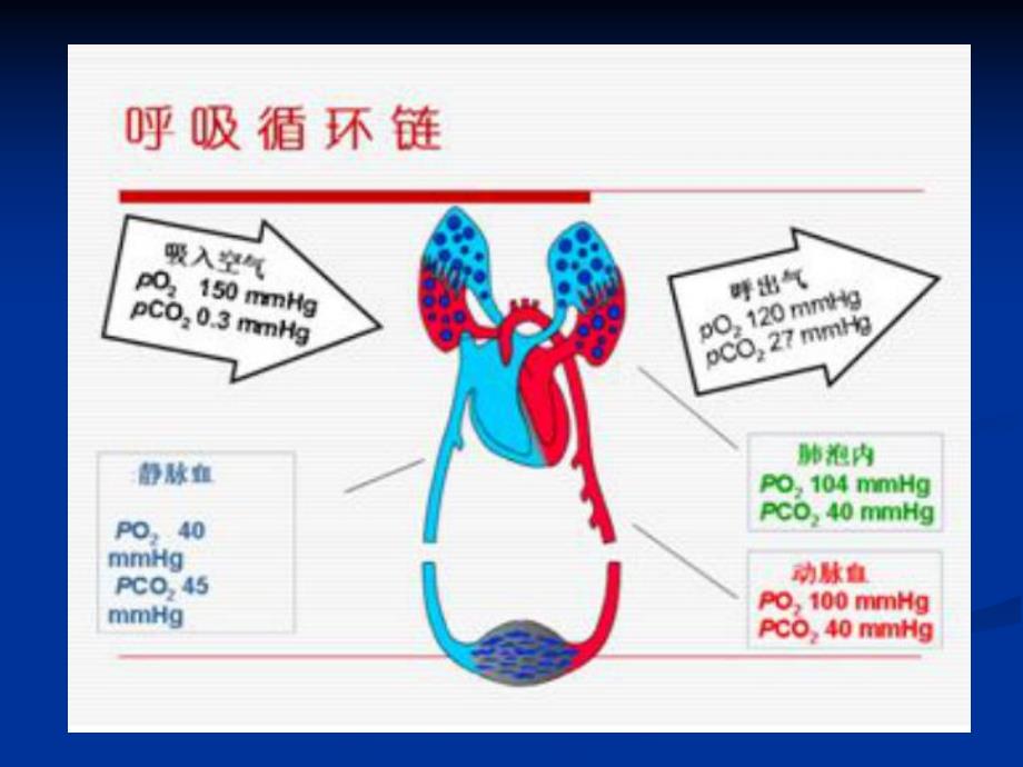 血气分析基础知识.ppt_第3页