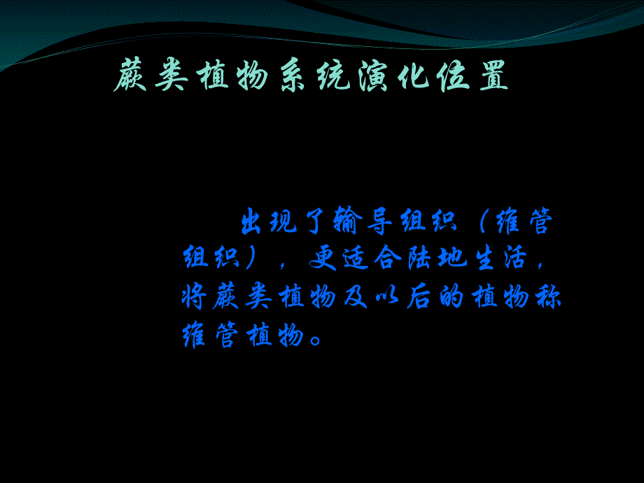 蕨类植物.ppt_第2页