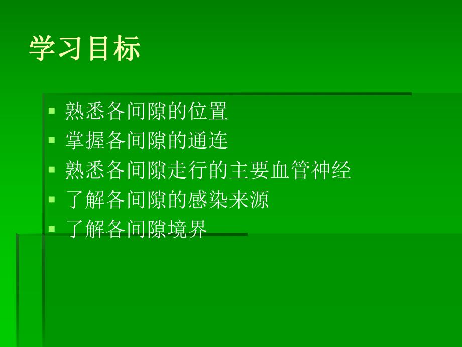 蜂窝组织间隙及通连.ppt_第2页